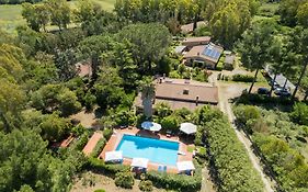 Fattoria Dei Piani Srl